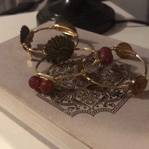Unique 3 piece bangle with letter D & Native motif